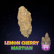 LEMON CHERRY MARTIAN🍋🍋🍋🍋🍋🍒🍒🍒🍒🍒⛽⛽⛽⛽⛽