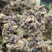 (NEW) Jokerz Candy 🤡🍬 ($115/Oz 🔥 🔥) thumbnail 3