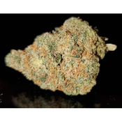 NEW! GORILLA GLUE #4- upto 32%THC - Special Price $150 oz!