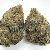 *NEW* Pacific Gas 4A // BUY 1OZ GET 1/4OZ FREE