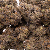Pink Blue Fin: 34% - 2oz @ $250, 4oz @ $450