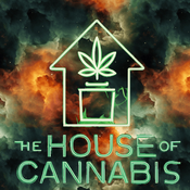 Purple Tom Ford  thumbnail 1