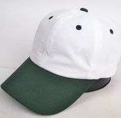 Green CAFE Dad Hat