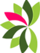BOW CANNABIS
