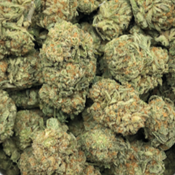 PINK WAGYU 💥 thumbnail 1