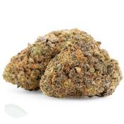 Biscotti (Indica Dominant Flower) thumbnail 3