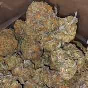 Daily Special NINJA FRUIT AAA 24.12% thc