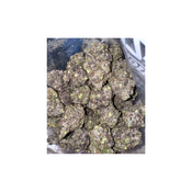  QP - Wholesale starting at $450
