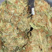 Tropical haze(2 ozs for 95,3 ozs for 130)