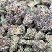 (28G) - Alien Cookies Hybrid | 4Oz Bulk Deal for $220 thumbnail 3