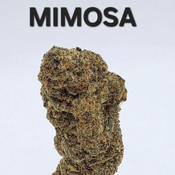 Mimosa Sativa Dominant 