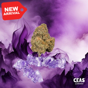 Purple Candy 7g - CEAS