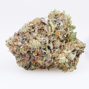 BC GAS – Monster Pink – 14G|65$ 28G|120$ – Indica GAS