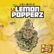 🍋 Lemon Popperz (3.5g)