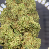 *NEW* Northern Wreck 3A