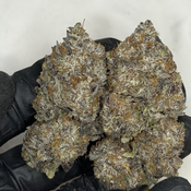 !$115/oz Pink Venom