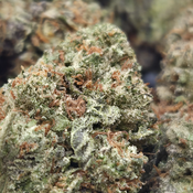 (NEW) Strawberry Twist 🍓 ($80/Oz) 🔥  thumbnail 4