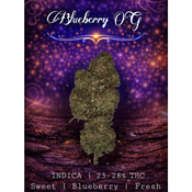 Blueberry OG | INDICA | 23-28% THC |  $60 an oz | $80 for 2 ozs | WHOLESALE AVAILABLE |