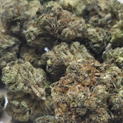 (New) Tropicana Banana 🍊 🍌 $125/Oz 🔥  thumbnail 4