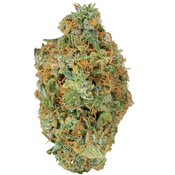 *ALERT NEW STRAIN* BC (AAA+) LEMON SKUNK (SALE)