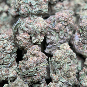 (28G) - Apple Pie 🥧🍎Hybrid | 4Oz Bulk Deal for $200 thumbnail 4