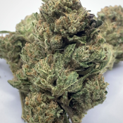 *NEW* Grand Daddy Purple 3A // 2oz for $140