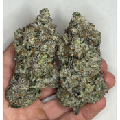 !$150/oz Pink Cartel ( Cartel Kush ) 