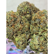 Big Teddy OG 