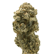 $200 For QP - White OG 