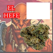 El Hefe