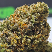 (NEW) Greasy Pink Bubba (On Sale!! $135/0z 🔥)  
