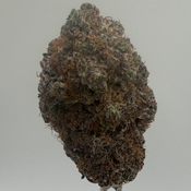 $40 FIRST TIME CUSTOMER SAMPLE PACK!!! thumbnail 2