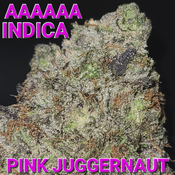 # 1 NEW STRONGEST  8⭐  PINK JUGGERNAUT KUSH ( SUPER STICKY, GASSY, VERY STRONG) AAAAAA ($165 OUNCE SALE) REG $450