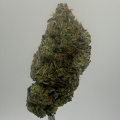 $40 FIRST TIME CUSTOMER SAMPLE PACK!!!