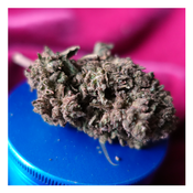 *NEW Special Sale* Apple Fritter (1oz - $80 / 2oz - $150) (THC 25%)