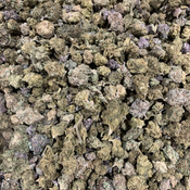 *NEW* Dank Sinatra // 3oz for $150