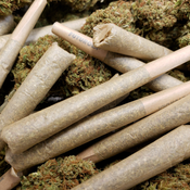 .5 Green Gallery Prerolls 4$ each!!