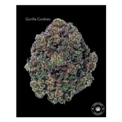 AA+ - GORILLA COOKIES