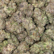 5A Lindsay Pink thumbnail 2