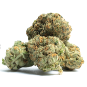 (AAA) Mango Dream 💥 (2oz 95$)(4oz 170$)(8oz 275$)