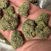 MKU 🤴🏻- 70/30 INDICA  thumbnail 2