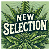 Canna-corp-canada.com