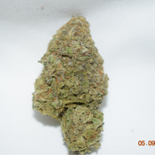 Girl Scout Cookies Indica Dominant Hybrid AAA+