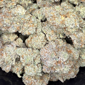 GEORGIA PIE - HIGHBEAR CANNABIS 🐻 thumbnail 2