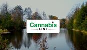 Cannabis Link (Westmount)