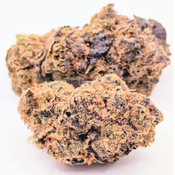 ALIEN FIGHTER 👽⚔️ **70oz**2oz/125$** 