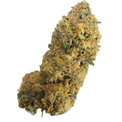 BC (AAA+) JET FUEL thumbnail 3