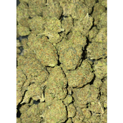 0R30  ***SALE***1000Z 2FOR180 4FOR340 thumbnail 3