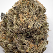 *NEW* Ice Cream Gelato 3A