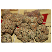 Master Kush thumbnail 3